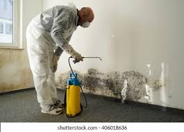 Best Mold Prevention Services  in Ferndale, WA